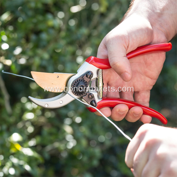 Professional garden pruning shears secateurs for cutting, customized titanium pruner scissor